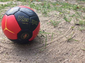 爱游戏电竞官网-“沙滩赛场燃爆天府新区，沙滩手球和合球上演极限对决”  第1张