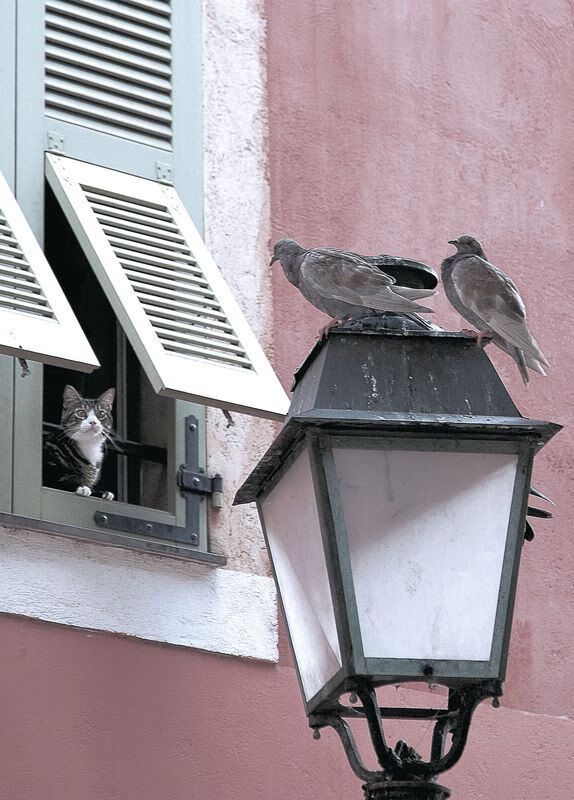 爱游戏体育app-中国女篮快速适应比赛节奏，中国女篮战况如何  第1张