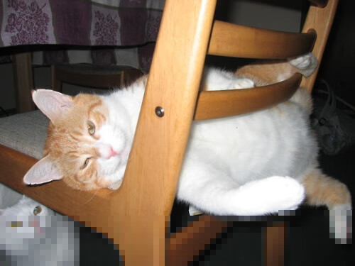 爱游戏app下载-博卡青年展现韧性，但技术短板明显，博卡青年培养出的球星  第2张