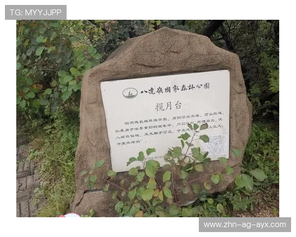 国际自行车山地赛启动赛道巡检志愿者计划